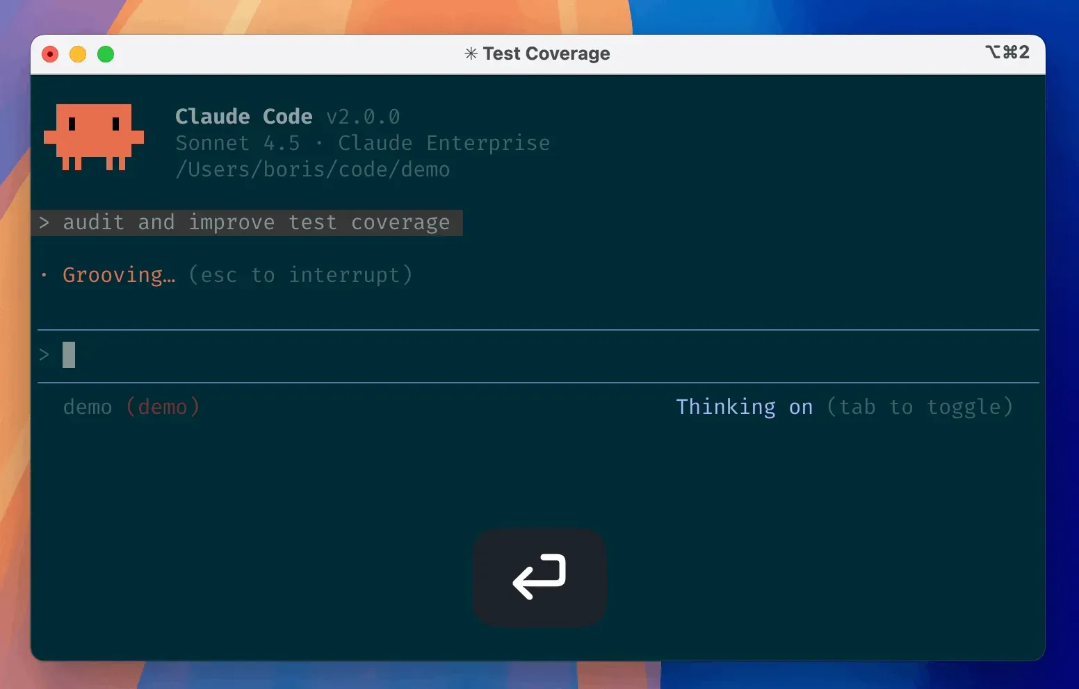 Official Claude Code terminal demo showing the project path, input area and runtime status