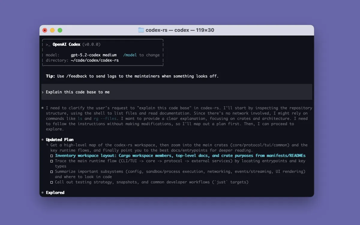 Codex 官方终端示例展示模型信息、工作目录、输入区与任务进度